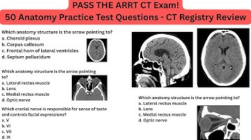 50 Must-Know CT Registry Review Test Questions (With Answers!) | CT HEAD ANATOMY