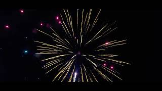 420 25 shot big bore