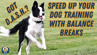Why Balance Breaks Fast Track Your Dog Training #57