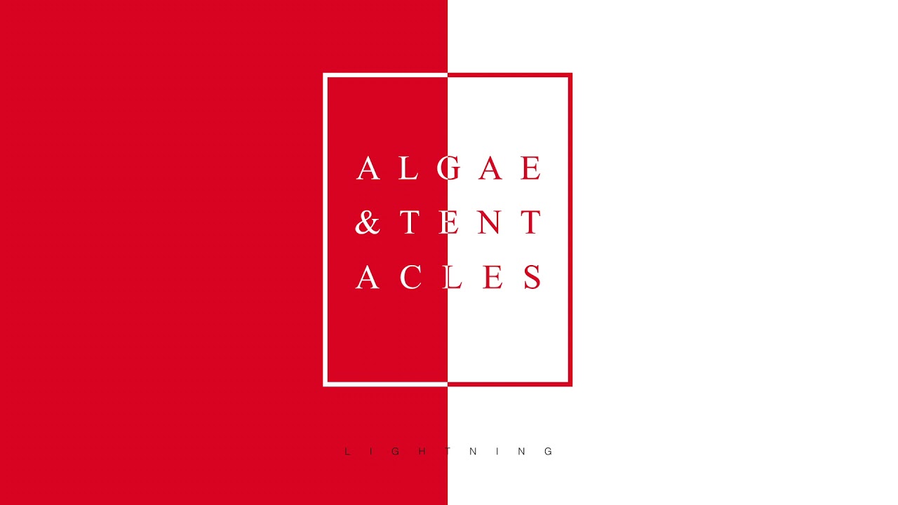 Algae & Tentacles // Magellan [Official Stream]