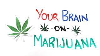 Your brain on medical marijuana