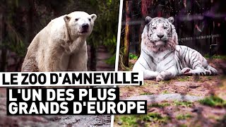 LE ZOO D'AMNEVILLE, L'UN DES PLUS GRANDS D'EUROPE