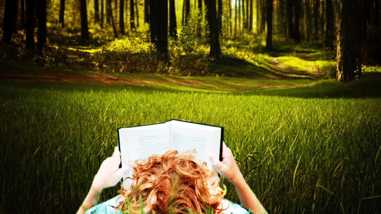 Relaxing  Music with Beautiful Nature and Water |  Sleep Therapy, Stress Management, Reading Music