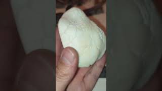 кахолонг