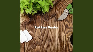 Fiery Backdrops for Atmospheric After Hours