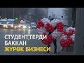 Студенттерди баккан жүрөк бизнеси