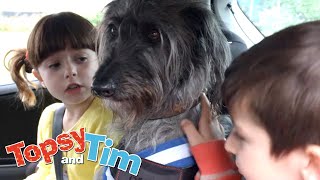 Lost keys & Dog day | Topsy & Tim Double episode 105-106 | HD Full Episodes | Shows for Kids