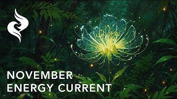November Energy Current | What You Focus On Expands