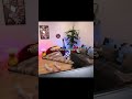 #jakewebber #shortsviral #trending #funny