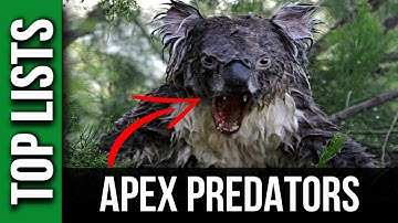 10 DEADLIEST Apex Predators