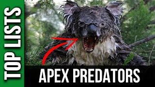 10 DEADLIEST Apex Predators