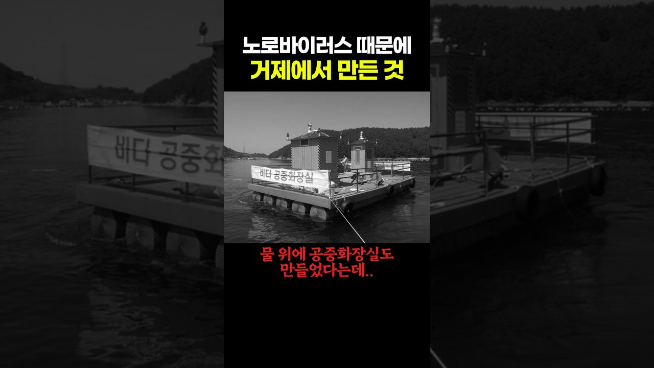 노로 바이러스 때문에 거제에서 만든 것