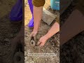 Soil Pot Seedling: Ultra High Survival🌱