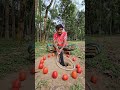 #animals #snake #cobra #viral