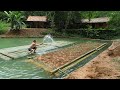 Primitive Skills: How to growing floating rice on a raft in a pond, Floating Rice Farm (ep 172)