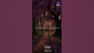 كل حرف فيها نور.. الشيخ عمر قريطنة يبدع في تلاوة تمسّ الروح وتنعش القلب 🌿