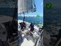 What I did in my Day Skipper Sailing Course. #capetown #travel #capetowntourism #viral #asmr