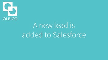 API connector Duplicate check for Salesforce - Olbico