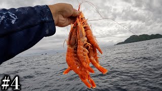 4] Aiming for a big catch with a ton of giant shrimp! [A