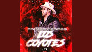 Pa Los Perros Los Coyotes