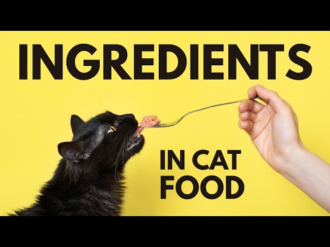 Ingredients In Cat Food By-Products Fillers Grains Meat Meals Pulses