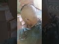 Amizing #viralvideo