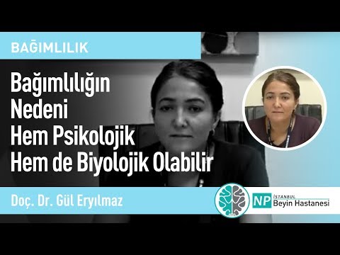 Bağımlılığın Nedeni Hem Psikolojik Hem de Biyolojik Olabilir-Psikiyatri Uzmanı Gül Eryılmaz