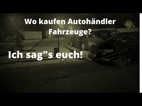 Wo kaufen Autohändler Fahrzeuge ??? Ich sag