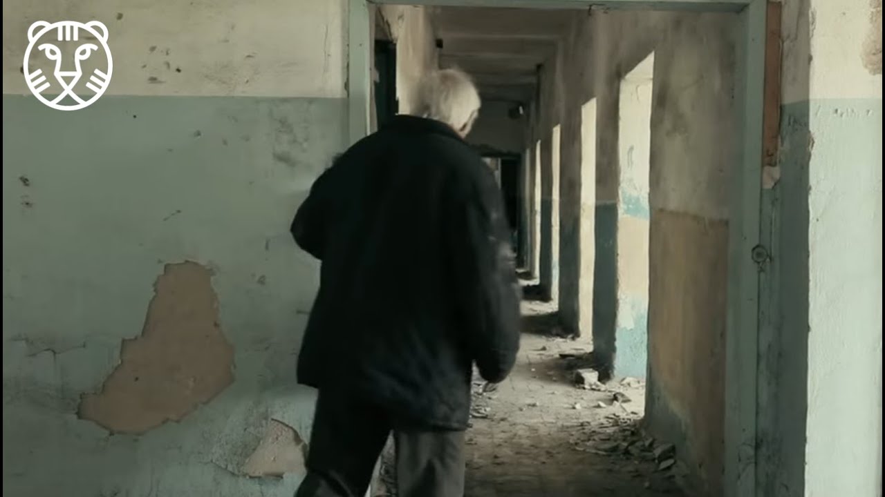 festival of lights IFFR presents: Home