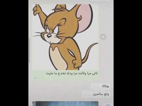 مامليت صرلك مده تحول ترجع مامليت