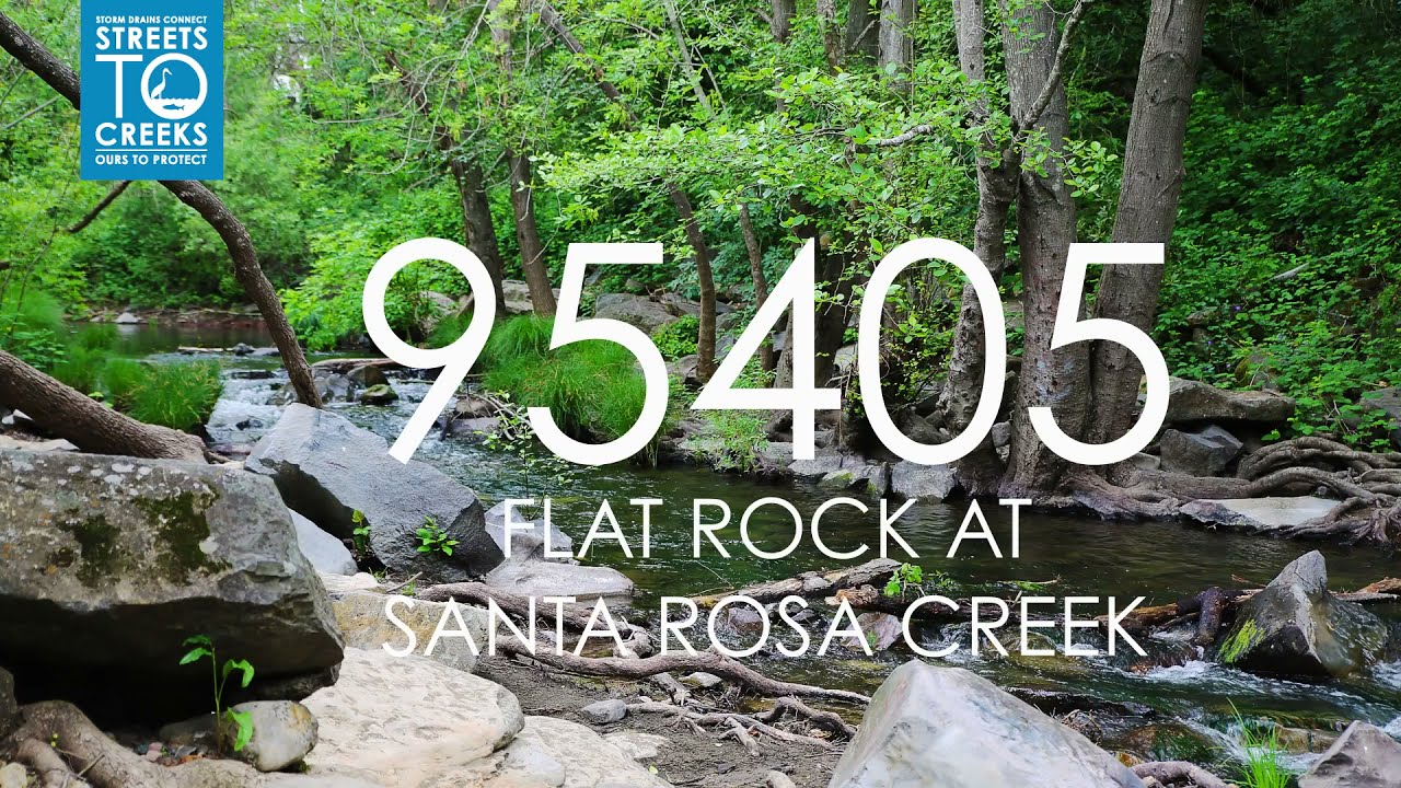 Streets to Creeks 95405 Flat Rock at Santa Rosa Creek