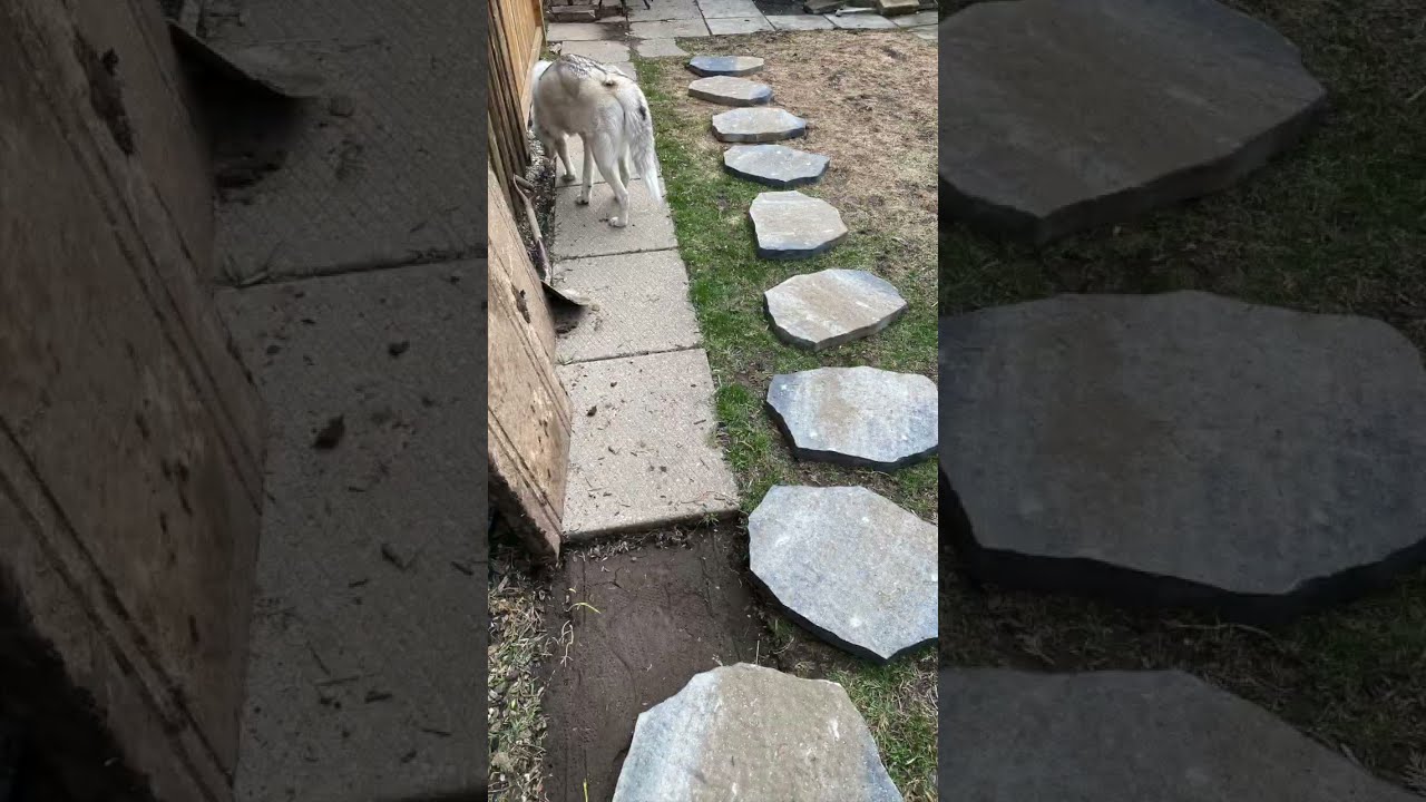 Small Backyard Makeover Before And After