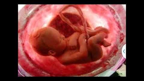 القارئ : محمد الشرعبي . صلاه العشاء  . ماتيسر من سوره المؤمنون