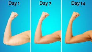 Slim Arms in just 3 Weeks | 8 min Beginner Friendly Standing Workout, No Equipment
