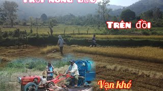 Mùa Gặt Khổ Cực Của Người Đồng Bào