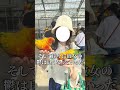 チック症の彼女の話