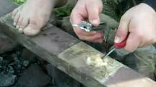 👉 Lighting a fire in a survival situation: Magnesium stick and Cat tail tinder