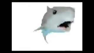 shark pog 1 hour version (PERFECT LOOP) at 3am challenge!!!1!!1!