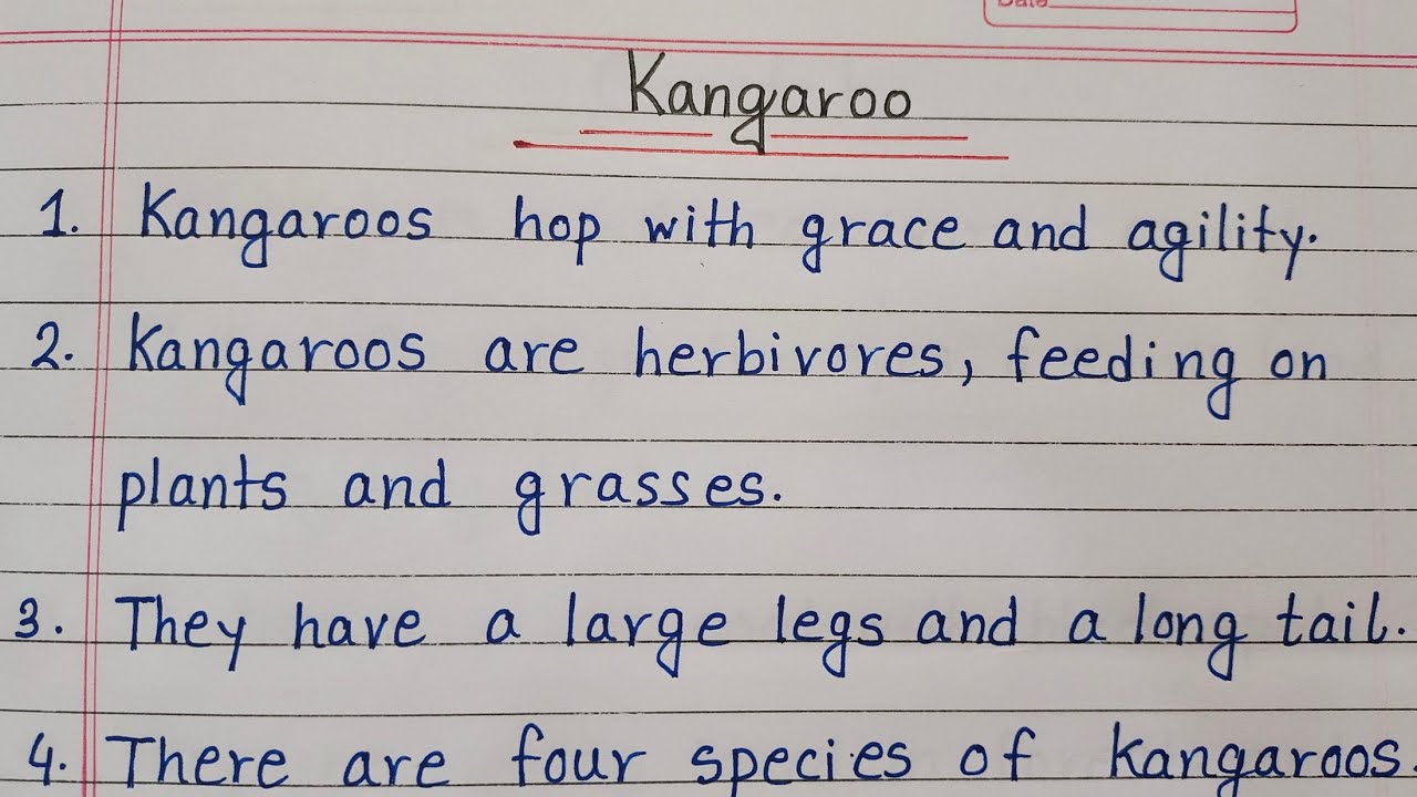 easy essay about kangaroo