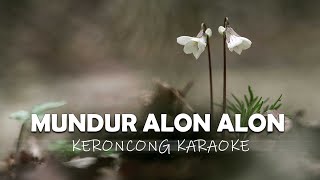 MUNDUR ALON ALON - KARAOKE KERONCONG ILUX