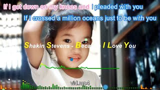 Shakin Stevens - Because I Love You (Lyrics)