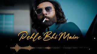 Animal - Pehle Bhi Main (Rock Remix by Samarth K)