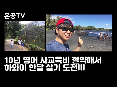 10년 영어사교육비 안쓰고 다녀온 하와이 한달살기 / <strong>하와이로</strong> 힐링하세요 / 혼공TV