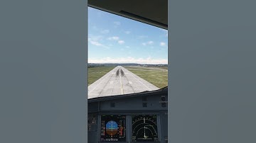 MSFS 2020 Fenix A320 Landing #aviation #simulator  #msfs2020