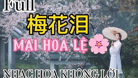梅花泪 | MAI HOA LỆ | NHẠC HOA KHÔNG LỜI GÂY NGHIỆN HOT DOUYIN TIKTOK
