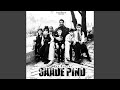 Saade pind