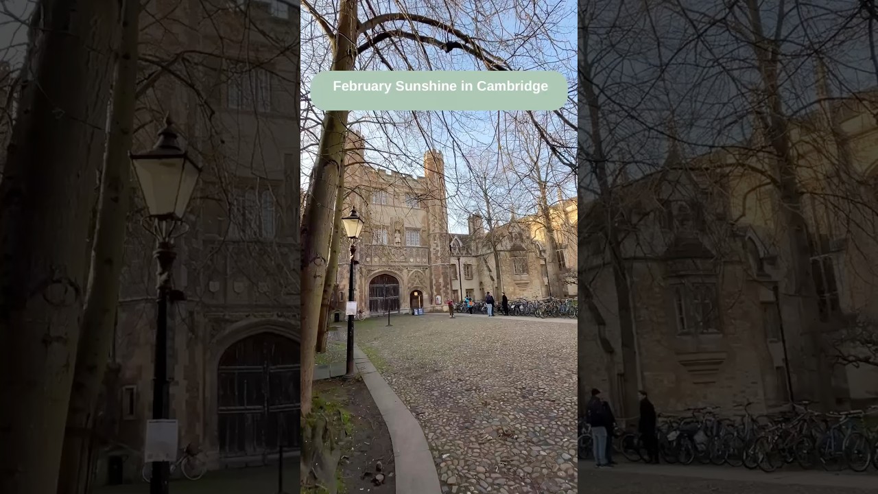 Some of the lovely sunshine we’ve enjoyed in Cambridge this February (between the rain showers)! ☀️