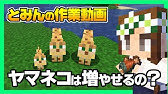 マイクラ 簡単で映える 超絶かわいいファンタジーな鳥かごの作り方 Minecraft How To Build A Fashionable Birdcage Youtube