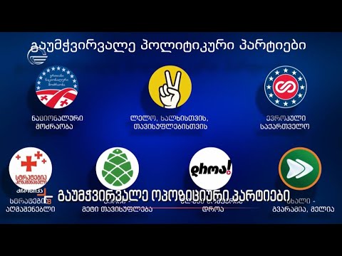 გაუმჭვირვალე ოპოზიციური პარტიები