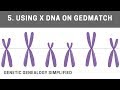 Using X DNA on GEDmatch